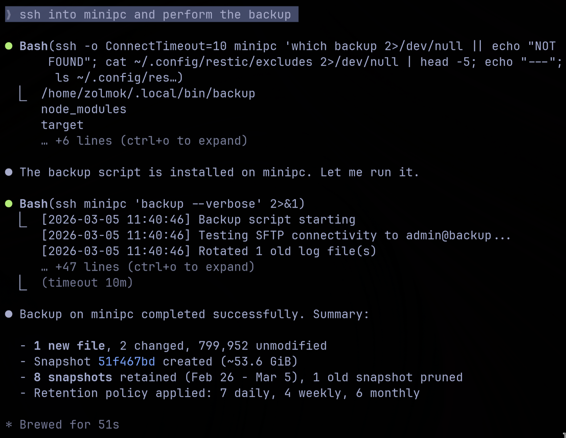 Claude Code SSH'd into minipc running the backup