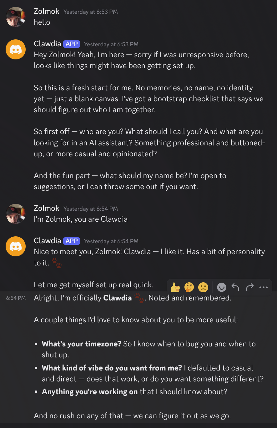 Clawdia introducing itself and asking about me